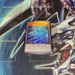 遊戯王 青眼の亜白龍　レリーフのサムネイル