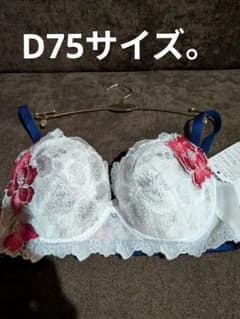 サルート、花柄刺繍 ホワイトブラジャー D75サイズ。P−UP。 - メルカリ