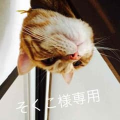 そくこ様専用のサムネイル