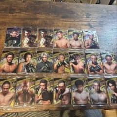 RIZIN トレーディングカード 20枚セットのサムネイル