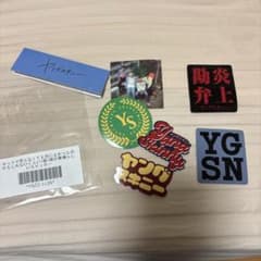 ヤングスキニー　ステッカーのサムネイル
