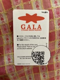 ガーラ湯沢リフト券のサムネイル