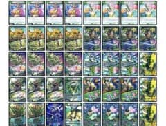 緑単キャベッジ グランセクトデッキ デュエルマスターズカード 40枚