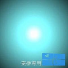 ♪奏様専用♪のサムネイル
