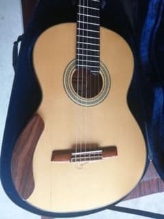 Takeshi Sato SL Greg Smallman type gut guitar