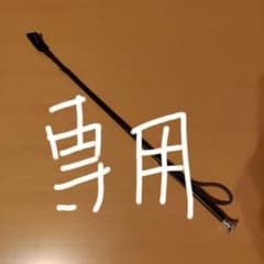 Shires ブラウンレザー短鞭のサムネイル