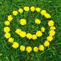 あや様専用ページのサムネイル