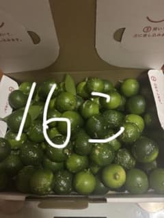 福岡県産完全無農薬シークワーサー１６個のサムネイル
