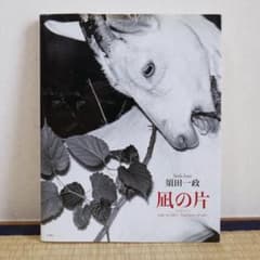 凪の片 須田一政 - メルカリ