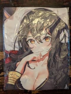 [未使用、未開封] C95 アズールレーン公式 三笠 抱き枕カバーのサムネイル