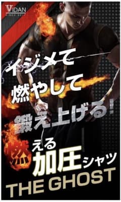 VIDAN THE GHOST 値下げ可能のサムネイル