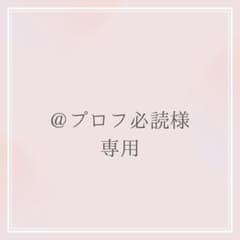 プロフ必読様専用 オーダーお見積もりページ - メルカリ