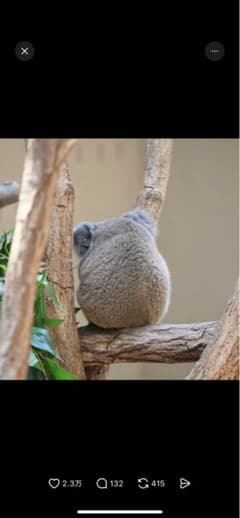 i_am_momotaro3様のサムネイル