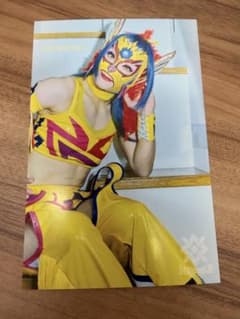 マリーゴールド プロレス Sシート特典　直筆サイン ポストカード10枚 バッグ 女子プロレス マリーゴールド Sシート特典 ポストカード ハミング