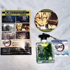 Demon Slayer: Kimetsu no Yaiba Favorite Demon Slayer Badge Collection - Churupuka Sanemi Shinazugawa