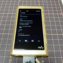 NW-A55 専用　再出品のサムネイル