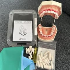 NISSIN MODEL HOLDER 歯列模型セット 歯科衛生士 顎模型 - メルカリ