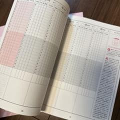 Coco様専用わたしの育児日記 My Baby's Diary 前期1冊のサムネイル