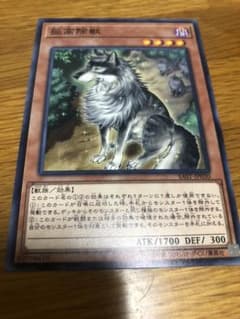 孤高除獣のサムネイル