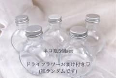 ハーバリウム　ガラス瓶5本セット　ドライフラワーおまけつき♡のサムネイル