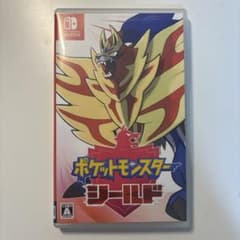 ポケットモンスター　シールド　Switch