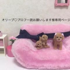 オリーブ♡プロフ一読お願いします様専用ページのサムネイル