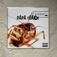 Papa Roach Infest レコード LPのサムネイル