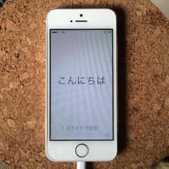iPhone5sのサムネイル