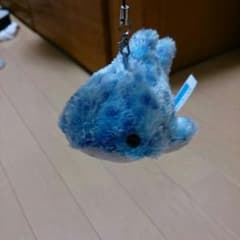 サメ ジンベイザメ 美ら海水族館のサムネイル