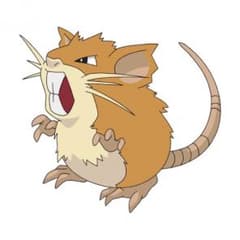 始めたてもんちゃん様専用のサムネイル