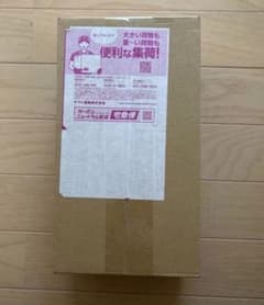 【完全未開封】スペシャルBOX ポケモンセンターヒロシマのサムネイル