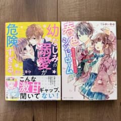 角川ビーンズ文庫 2冊セット 幼なじみの溺愛が危険すぎる。/春色シンドロームのサムネイル