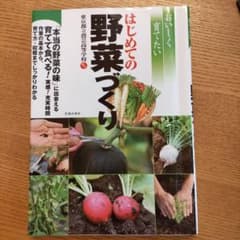 おいしく育てたいはじめての野菜づくり 本のサムネイル