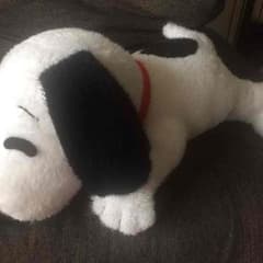 スヌーピー ぬいぐるみ☆のサムネイル