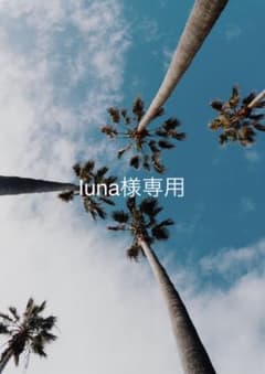 luna様専用のサムネイル