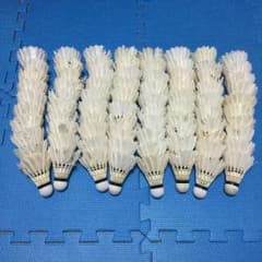 バドミントンシャトル 中古 80個のサムネイル