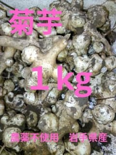 국화 1kg 농약 미사용 이와테현산