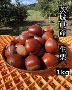茨城県産　大粒　生栗　無農薬のサムネイル