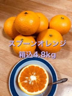 スプーンオレンジ 箱込4.8kgのサムネイル