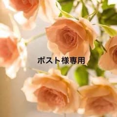 新品drug store'sウィンドブレイカーのサムネイル