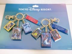 東京ディズニーリゾート イマジニング・ザ・マジック キーチェーン