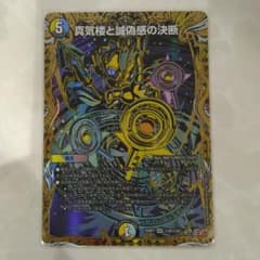 即発送！ ペテンシー シークレット シク - メルカリ