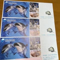 新江ノ島水族館のサムネイル