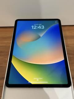 iPadPro11インチ第3世代WiFi+Cellular 512GBのサムネイル