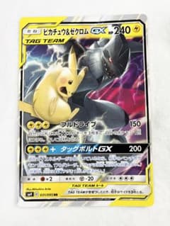 コロコロアニキ　付録　ピカチュウ&ゼクロムGX　 ポケモンカード　ポケカのサムネイル