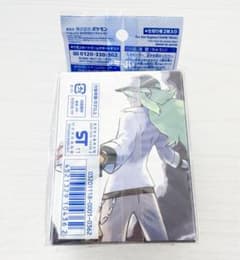 ポケモンカードゲーム オフィシャルデッキケース N プラズマ団 新品 未