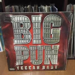 BIGPUN LP レコードのサムネイル