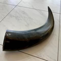 【水牛の角】　置物のサムネイル