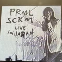 PRML SCRM LIVE IN JAPAN CD アルバム紙版帯付きのサムネイル