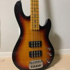 けーさん専用　G&L L-2000のサムネイル